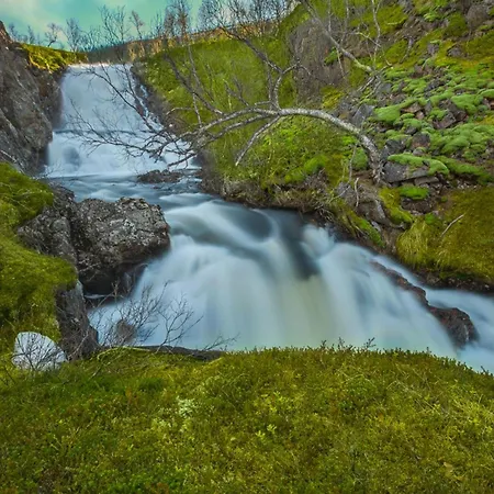 Senja - Cabin, Senja, Northern Norway فينسنس