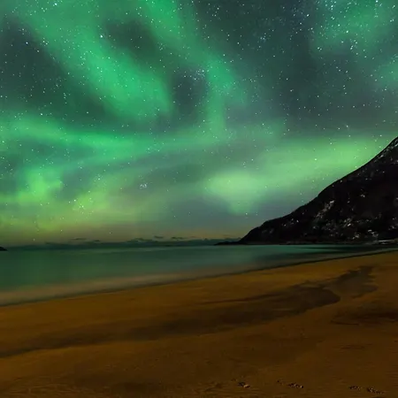 Senja - Cabin, Senja, Northern Norway بيت للعطل *