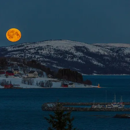 Senja - Cabin, Senja, Northern Norway Сasa de vacaciones Finnsnes