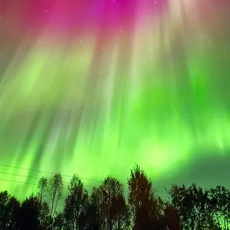 Senja - Cabin, Senja, Northern Norway Сasa de vacaciones